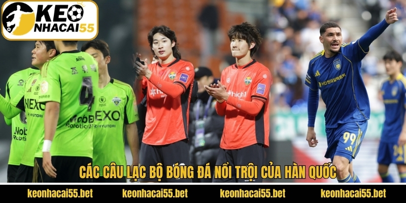 Những câu lạc bộ bóng đá nổi trội