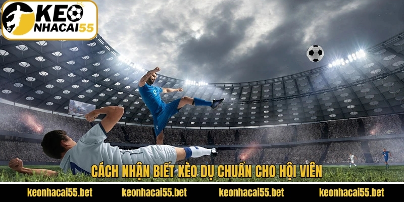 Cách để nhận biết kèo bẫy chuẩn nhất
