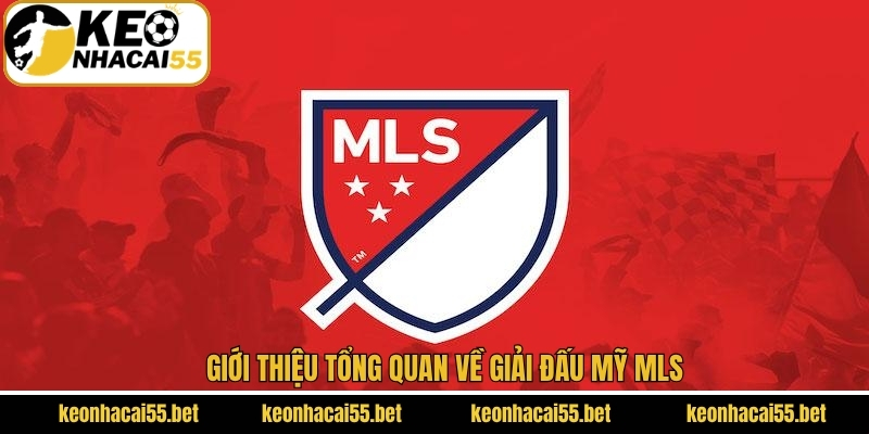 Đôi nét về đấu trường bóng đá nổi tiếng ở Hoa Kỳ