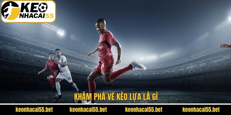 Cập nhật thông tin về kèo lựa trong cược bóng đá