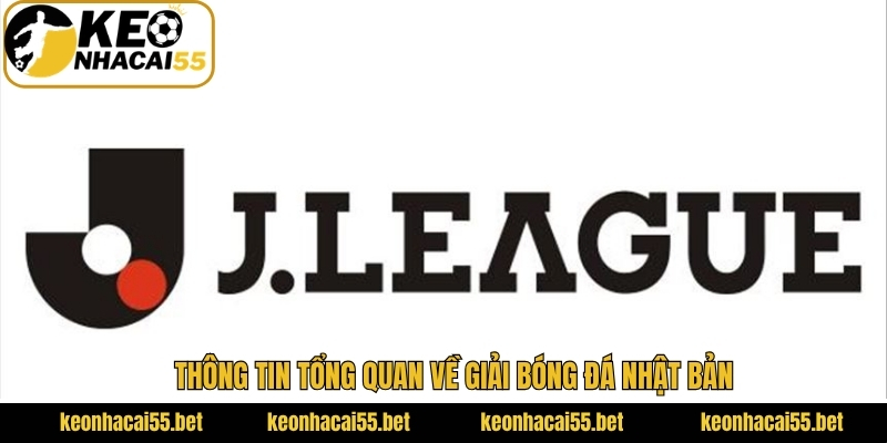 Điểm qua những thông tin nổi bật về giải VĐQG