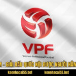 VĐQG Việt Nam - Giải Đấu Quốc Nội Được Người Hâm Mộ Quan Tâm 